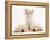 Lilac Tortoiseshell Kitten Between Two Sleeping Golden Retriever Puppies-Jane Burton-Framed Premier Image Canvas