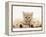 Lilac Tortoiseshell Kitten Between Two Sleeping Golden Retriever Puppies-Jane Burton-Framed Premier Image Canvas