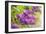 Lilac-Karyn Millet-Framed Photographic Print