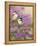 Lilacs and Chickadees-William Vanderdasson-Framed Premier Image Canvas