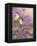 Lilacs and Chickadees-William Vanderdasson-Framed Premier Image Canvas