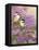 Lilacs and Chickadees-William Vanderdasson-Framed Premier Image Canvas