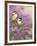 Lilacs and Chickadees-William Vanderdasson-Framed Giclee Print