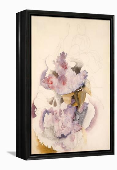 Lilacs, C.1917 (W/C on Paper)-Charles Demuth-Framed Premier Image Canvas