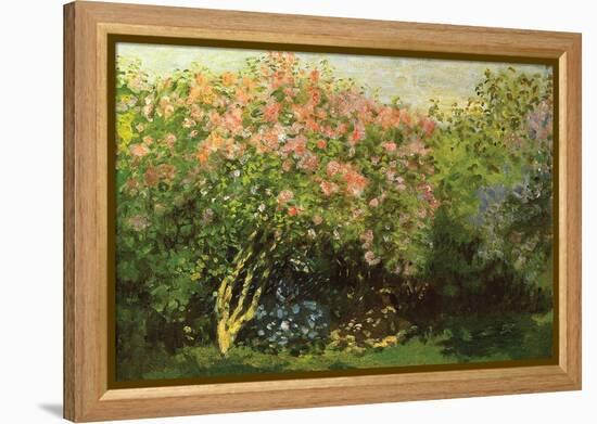 Lilacs in the Sun-Claude Monet-Framed Stretched Canvas