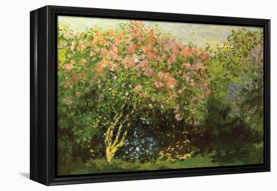 Lilacs in the Sun-Claude Monet-Framed Stretched Canvas