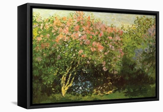 Lilacs in the Sun-Claude Monet-Framed Stretched Canvas