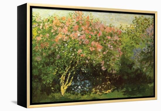 Lilacs in the Sun-Claude Monet-Framed Stretched Canvas