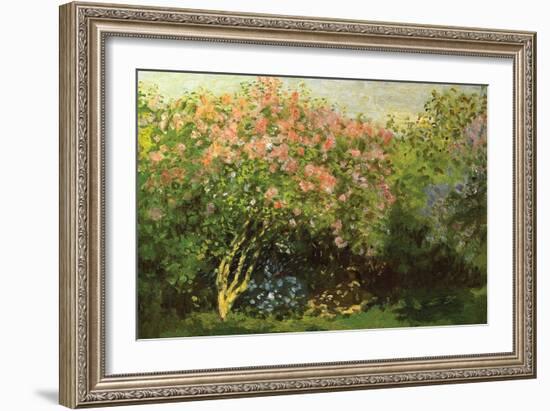 Lilacs in the Sun-Claude Monet-Framed Art Print