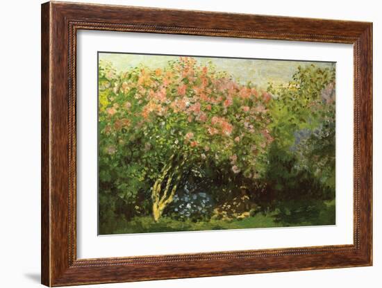 Lilacs in the Sun-Claude Monet-Framed Art Print