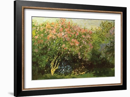 Lilacs in the Sun-Claude Monet-Framed Art Print