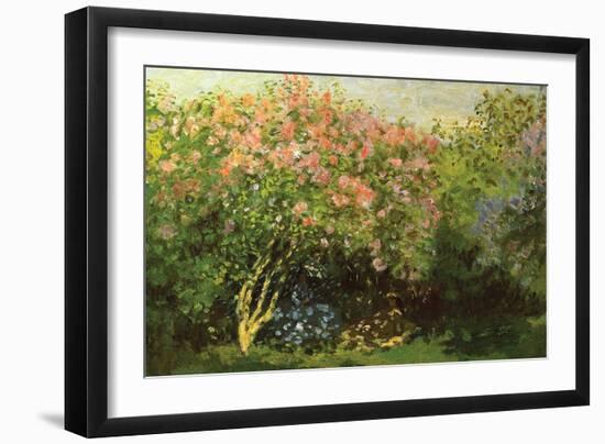 Lilacs in the Sun-Claude Monet-Framed Art Print