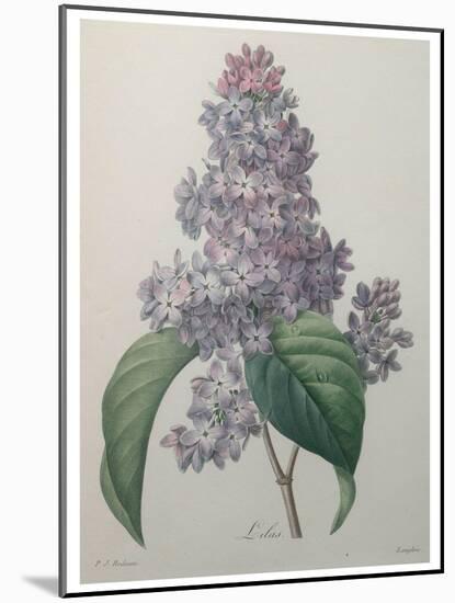 Lilacs-Pierre-Joseph Redoute-Mounted Art Print