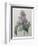 Lilacs-Pierre-Joseph Redoute-Framed Premium Giclee Print