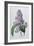 Lilacs-Pierre-Joseph Redouté-Framed Giclee Print