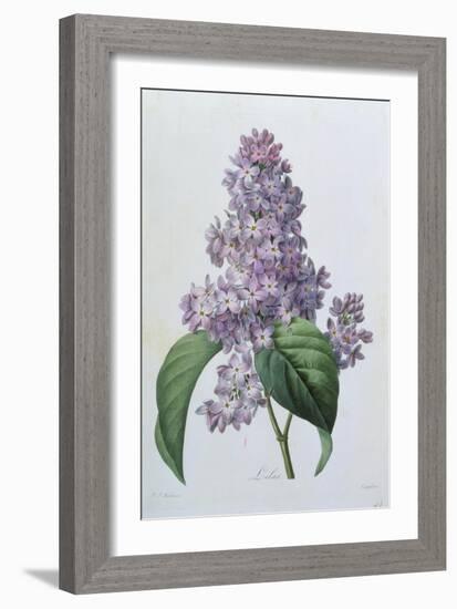 Lilacs-Pierre-Joseph Redouté-Framed Giclee Print