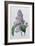 Lilacs-Pierre-Joseph Redouté-Framed Giclee Print