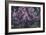 Lilacs-Mikhail Alexandrovich Vrubel-Framed Giclee Print