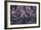 Lilacs-Mikhail Alexandrovich Vrubel-Framed Giclee Print