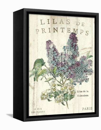 Lilas de Printemps-Sue Schlabach-Framed Stretched Canvas