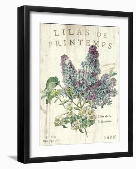 Lilas de Printemps-Sue Schlabach-Framed Art Print