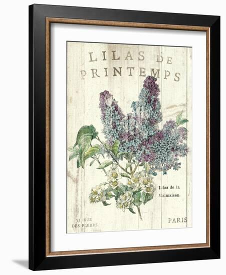 Lilas de Printemps-Sue Schlabach-Framed Art Print