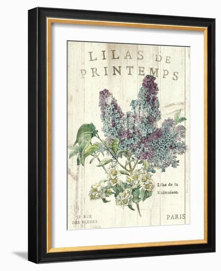 Lilas de Printemps-Sue Schlabach-Framed Art Print