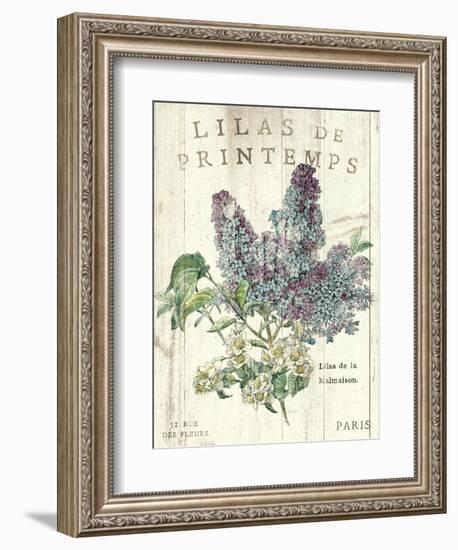 Lilas de Printemps-Sue Schlabach-Framed Art Print