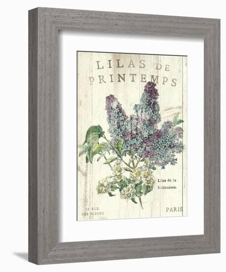 Lilas de Printemps-Sue Schlabach-Framed Art Print