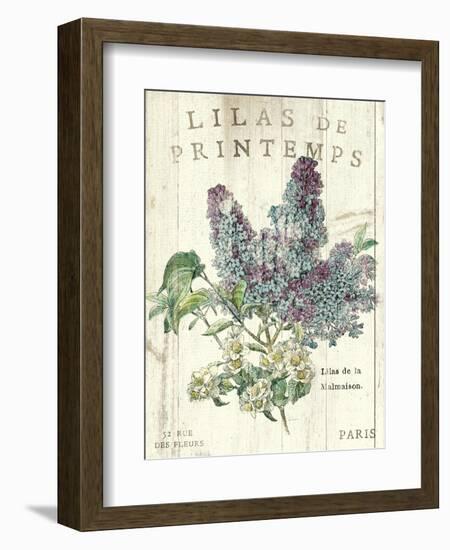 Lilas de Printemps-Sue Schlabach-Framed Art Print