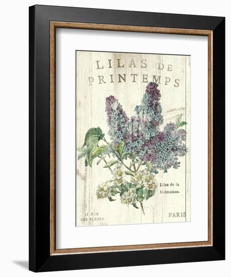 Lilas de Printemps-Sue Schlabach-Framed Art Print