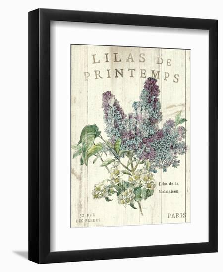 Lilas de Printemps-Sue Schlabach-Framed Art Print