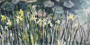 Lily Pond-Lilia Orlova Holmes-Giclee Print