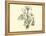 Liliaceae of Sacsahuaman, Amaryllis Aurea, Crinum Urceolatum, Pancratium Recurvatum-Édouard Riou-Framed Premier Image Canvas