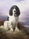 A Spaniel in the Highlands-Lilian Cheviot-Framed Giclee Print