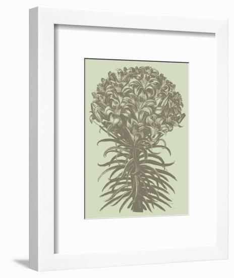 Lilies 11-Botanical Series-Framed Art Print