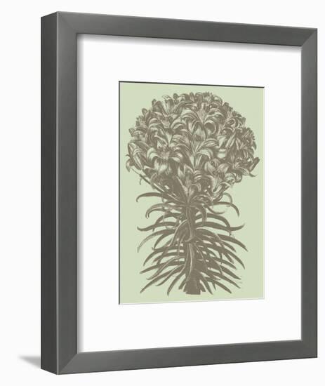 Lilies 11-Botanical Series-Framed Art Print