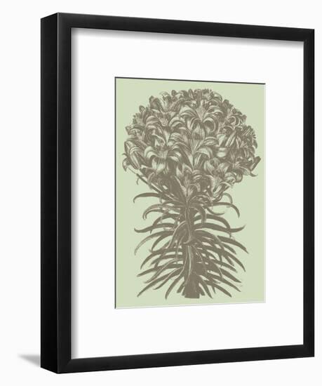 Lilies 11-Botanical Series-Framed Art Print