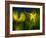 Lilies 1-Ursula Abresch-Framed Photographic Print