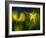 Lilies 1-Ursula Abresch-Framed Photographic Print