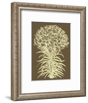 Lilies 3-Botanical Series-Framed Art Print