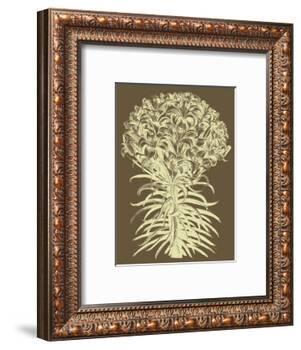 Lilies 3-Botanical Series-Framed Art Print