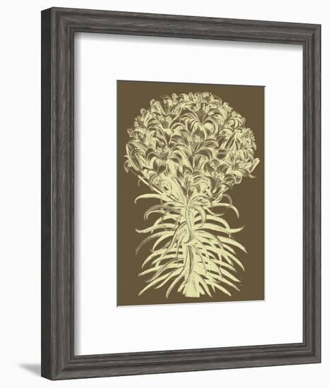 Lilies 3-Botanical Series-Framed Art Print