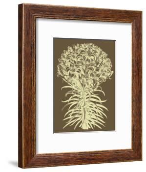 Lilies 3-Botanical Series-Framed Art Print
