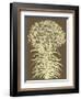 Lilies 3-Botanical Series-Framed Art Print