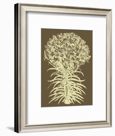 Lilies 3-Botanical Series-Framed Art Print