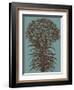 Lilies 5-Botanical Series-Framed Art Print