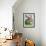 Lilies and Bullrushes-Christopher Ryland-Framed Giclee Print displayed on a wall