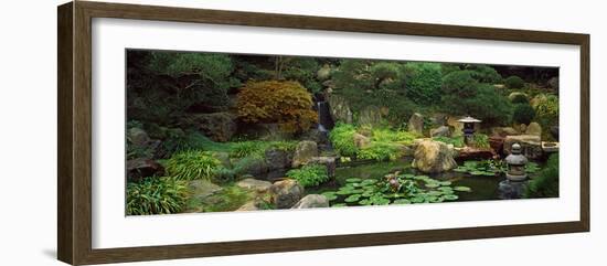 Lilies in a Pond at Japanese Garden, University of California, Los Angeles, California, USA-null-Framed Photographic Print