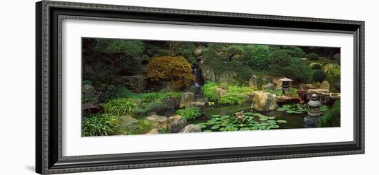 Lilies in a Pond at Japanese Garden, University of California, Los Angeles, California, USA-null-Framed Photographic Print